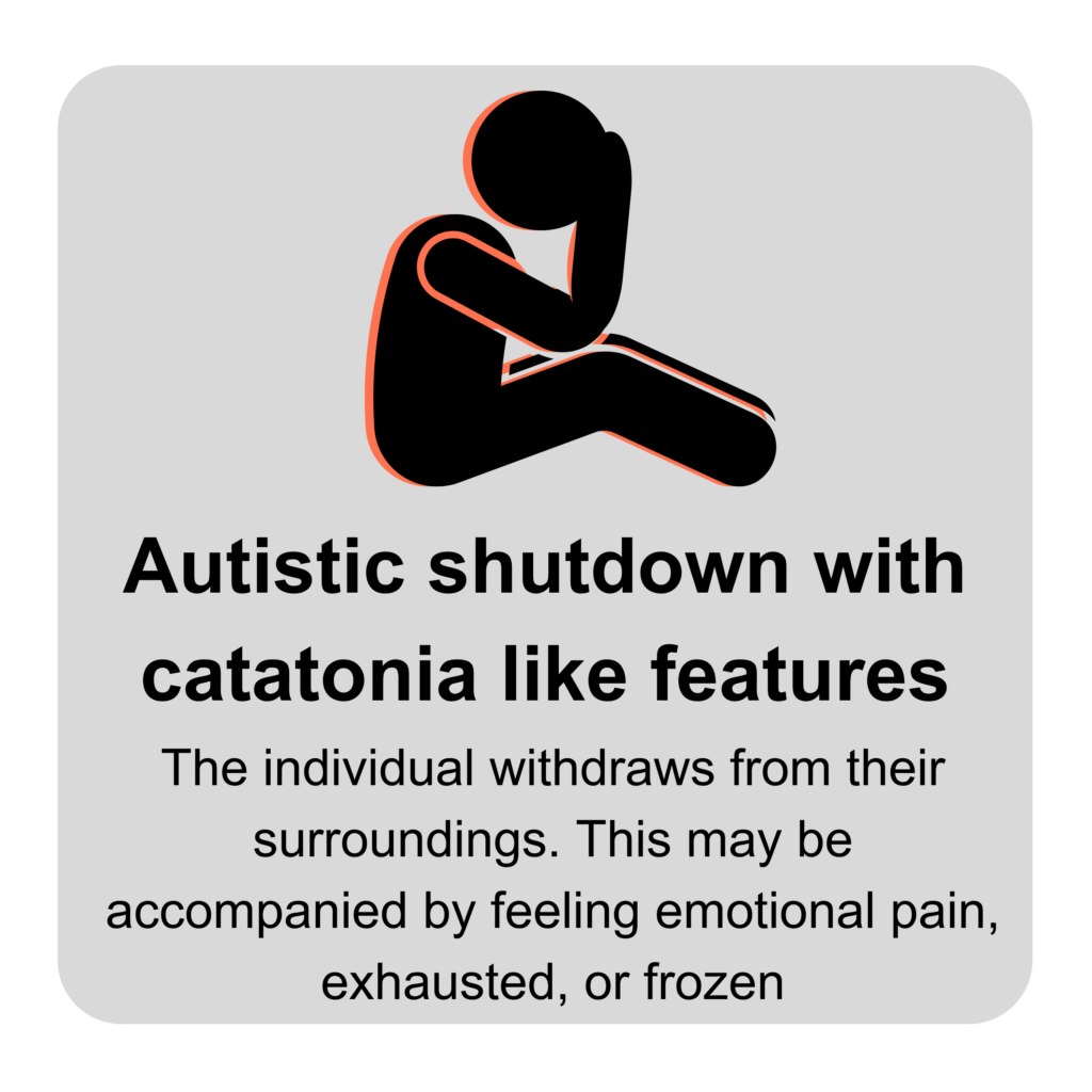 Autistic shutdown with catatonia like features
The individual withdraws from their surroundings. This may be accompanied by feeling emotional pain, exhausted, or frozen.